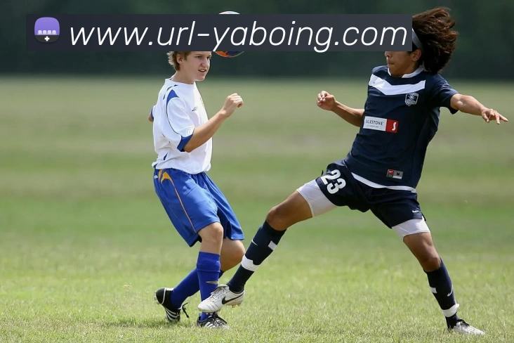 多媒体互动体验